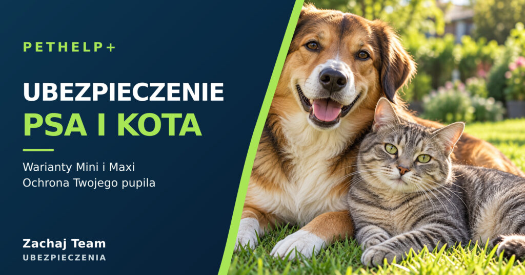 Grafika do udostępniania: ubezpieczenie psa i kota PETHELP+ w Zachaj Team